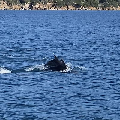Crociere scuola vela