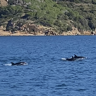 Crociere scuola vela