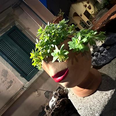 Crociere scuola vela