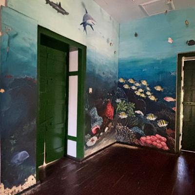 Crociere scuola vela