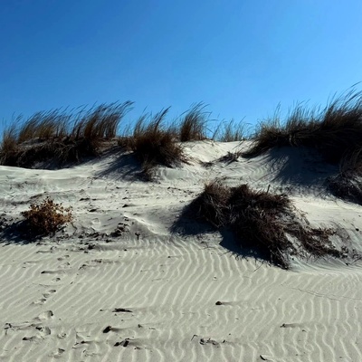 Crociera in Sardegna del Sud - Foto 1