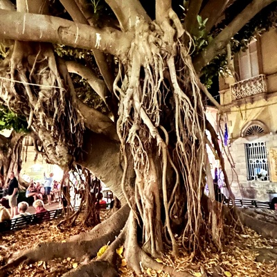 Crociera in Sardegna del Sud - Foto 102